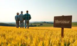 rafforzare lagricoltura europea salvaguardie post accordo con il mercosur 1765947665 265x160