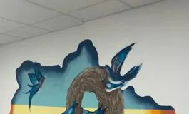 583203924 18538255045041902 7176482171876630817 n 265x160