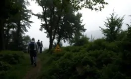 arrestati il compagno e unamica nel caso dellomicidio di franka ludwig 1768359944 265x160