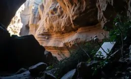 caso manuela murgia assenza di prove biologiche dallex fidanzato 1767438703 265x160