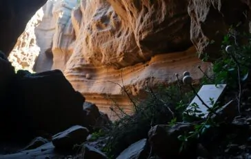 caso manuela murgia assenza di prove biologiche dallex fidanzato 1767438703 364x230