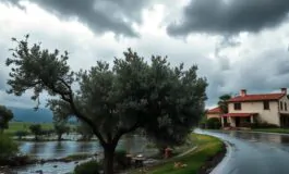 ciclone harry emergenza maltempo in sicilia e calabria aggiornamenti e previsioni 1768913346 265x160