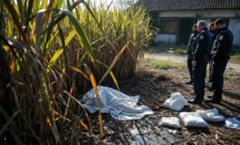 claudio carlomagno fermato per omicidio di federica torzullo 1768781611 265x160