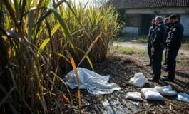 claudio carlomagno fermato per omicidio di federica torzullo 1768781611 265x160