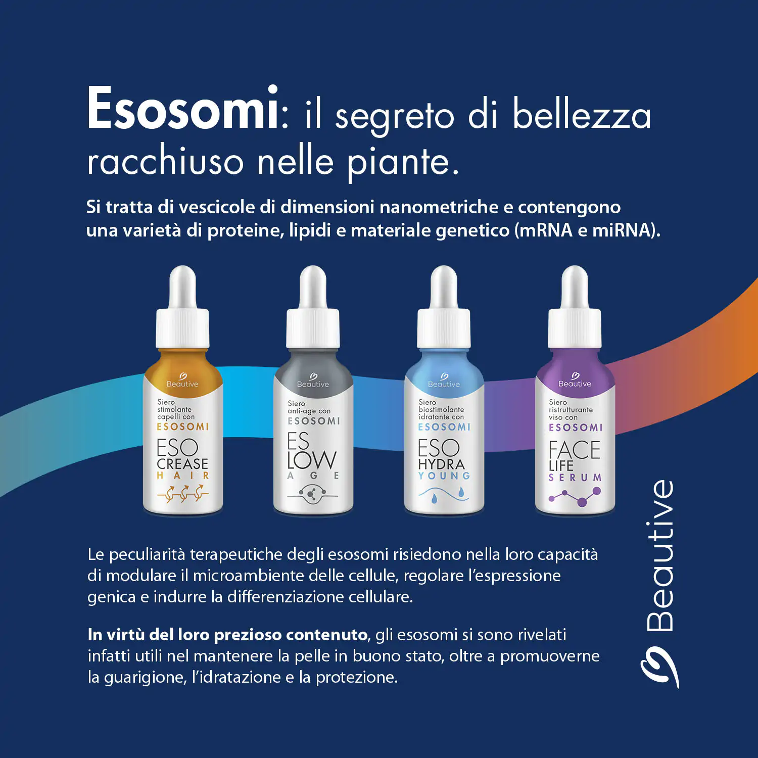 eslow age 2x49 media