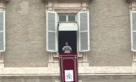 featured 3257572 265x160