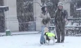 featured 3264459 265x160