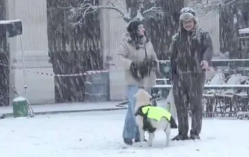 featured 3264459 364x230