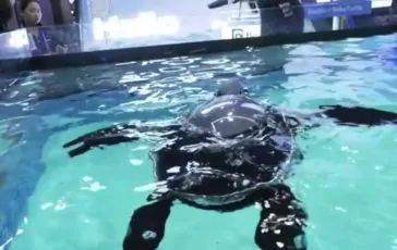 featured 3271335 364x230