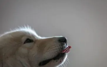 featured 3272719 364x230