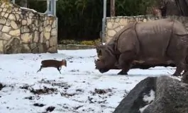 featured 3276565 265x160