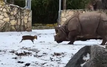 featured 3276565 364x230