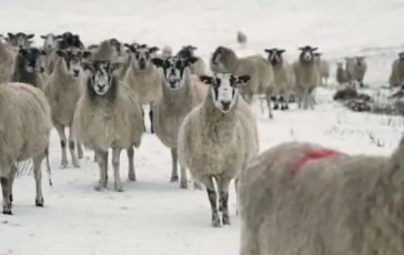 featured 3279862 364x230