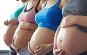 featured 3326358 364x230