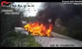 featured 3366479 265x160