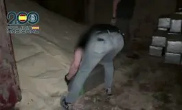 featured 3403124 265x160