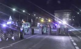 featured 3404769 265x160