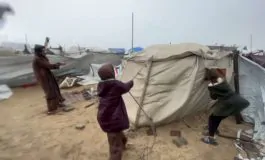 featured 3429755 265x160