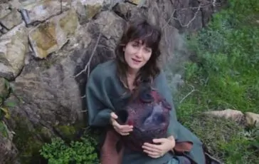 featured 3448860 364x230