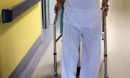 featured 3451352 265x160