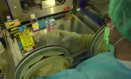 featured 3462699 265x160