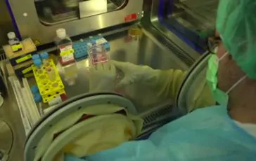 featured 3462699 364x230