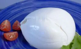 featured 3462792 265x160