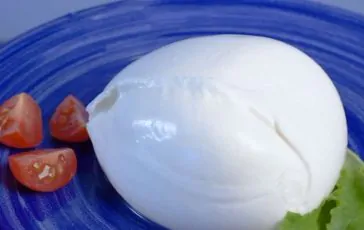 featured 3462792 364x230