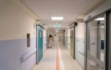 featured 3463798 364x230