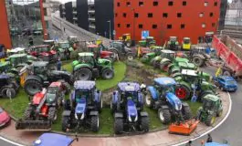 featured 3465292 265x160