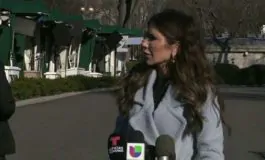 featured 3466192 265x160