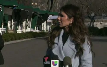 featured 3466192 364x230