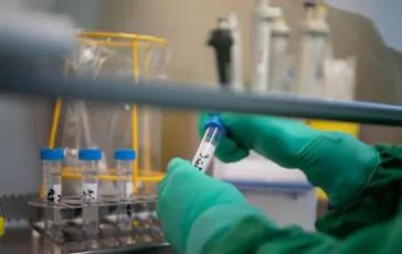 featured 3471376 364x230