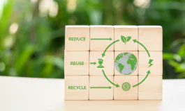 featured 3471475 265x160