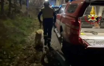 featured 3471911 364x230