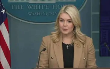 featured 3473467 364x230