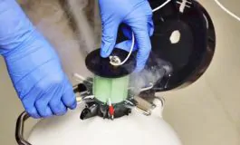 featured 3473981 265x160