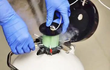 featured 3473981 364x230