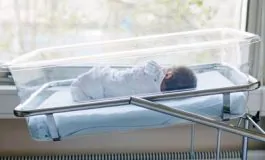 featured 3477775 265x160