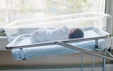 featured 3477775 364x230