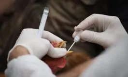 featured 3477849 265x160