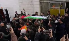 featured 3477933 265x160