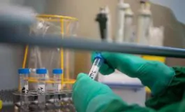 featured 3486682 265x160