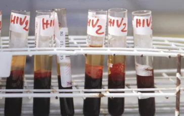 featured 3502020 364x230