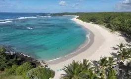 featured 3502110 265x160