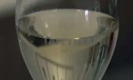 featured 3505781 265x160