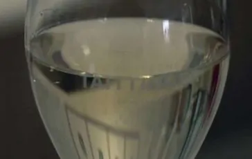 featured 3505781 364x230