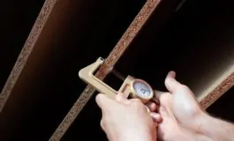 featured 3509277 265x160