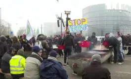 featured 3509910 265x160