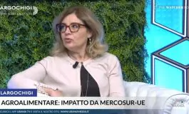 featured 3511087 265x160